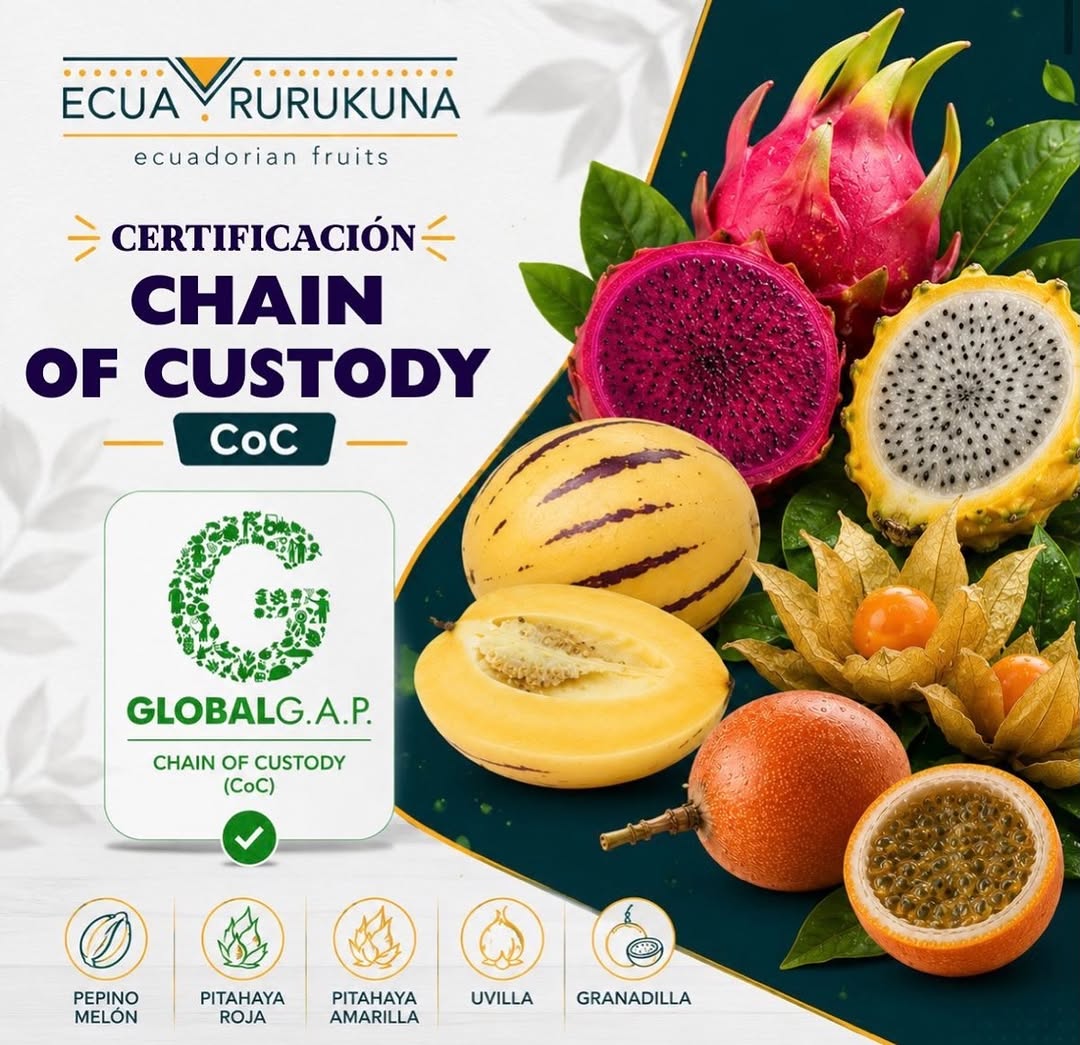 Anuncio de la certificación Chain of Custody (CoC) GLOBALG.A.P. de Ecuarurukuna