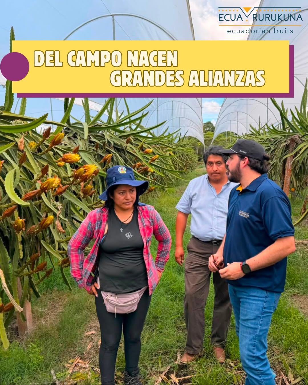 Equipo de Ecuarurukuna con productores de pitahaya amarilla en Palora